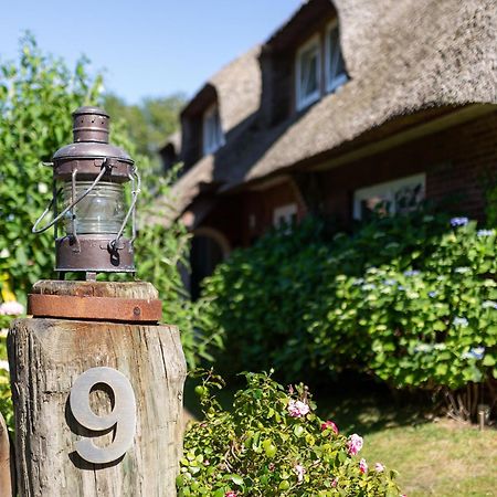 Hortensie - Reetdachhaus Petersen Nebel Exterior foto